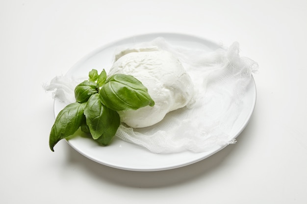 Cerrar mozzarella de búfala fresca con albahaca