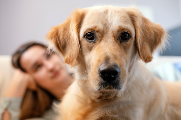 Foto gratuita cerrar mujer borrosa con perro