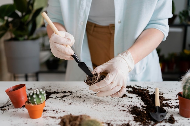 Cerrar mujer cultivo de plantas