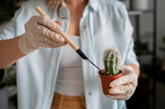 Cerrar mujer cultivo de plantas