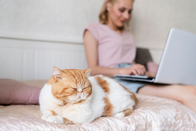 Cerrar mujer con laptop y gato
