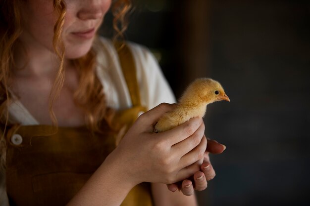 Cerrar mujer sosteniendo pollo