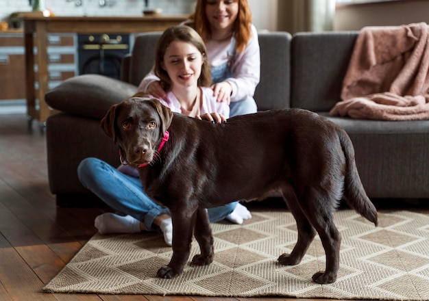 Foto gratuita cerrar las mujeres y el perro en casa