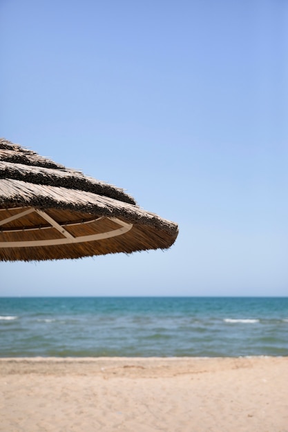 Foto gratuita cerrar paraguas de palma en la playa