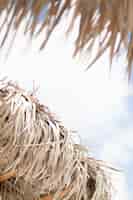 Foto gratuita cerrar paraguas de palma en la playa