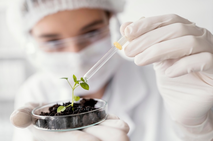 Foto gratuito cerrar la planta de riego científico