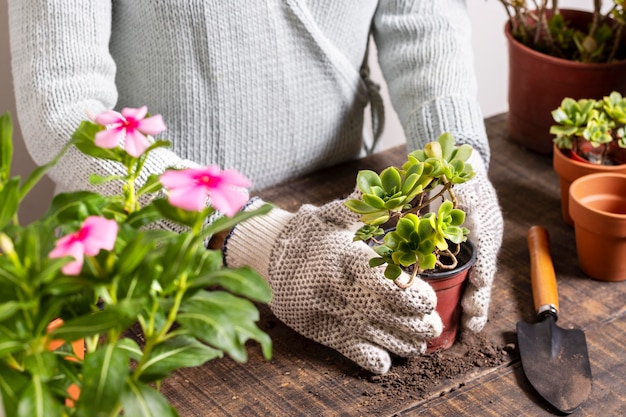 Cerrar plantando flores en maceta