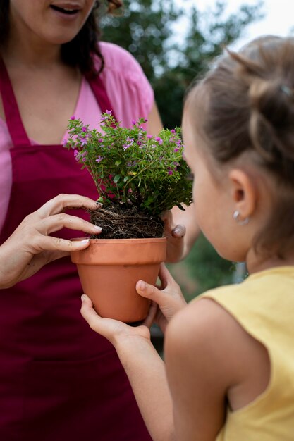 Cerrar el proceso de trasplante de plantas