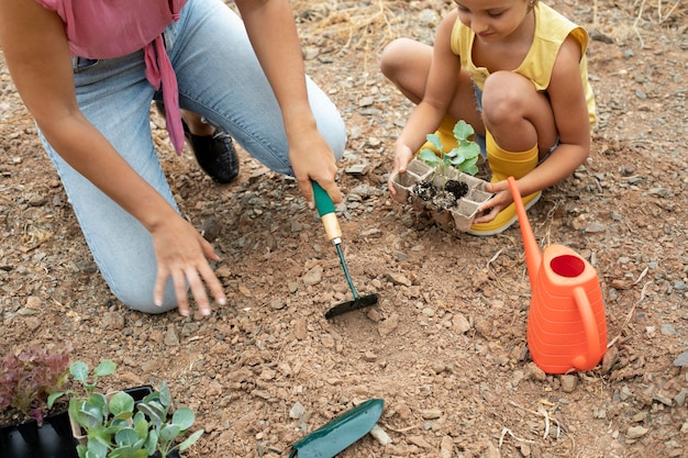 Cerrar el proceso de trasplante de plantas