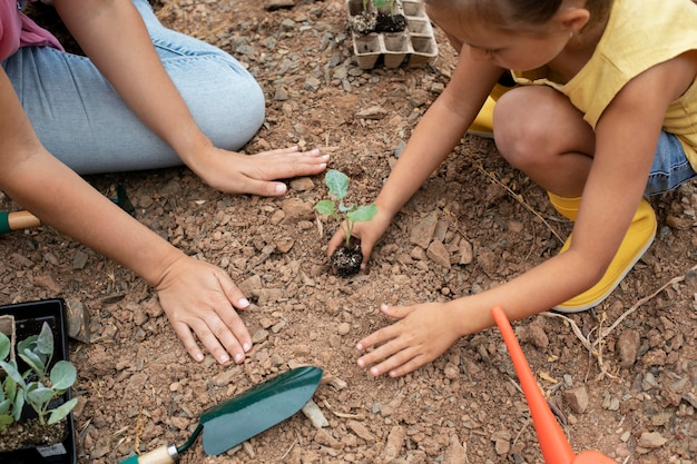 Cerrar el proceso de trasplante de plantas