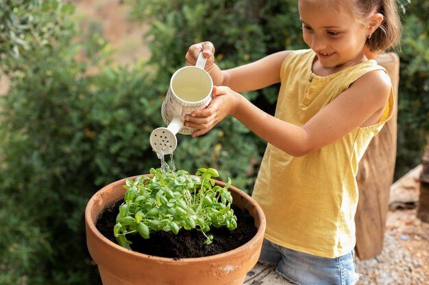 Cerrar el proceso de trasplante de plantas