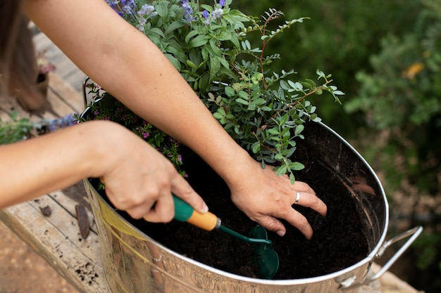 Foto gratuita cerrar el proceso de trasplante de plantas