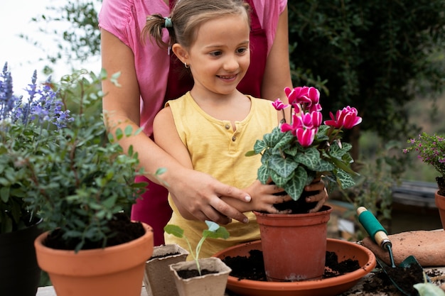 Cerrar el proceso de trasplante de plantas