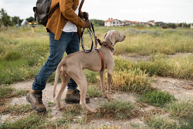 Cerrar propietario caminando con perro