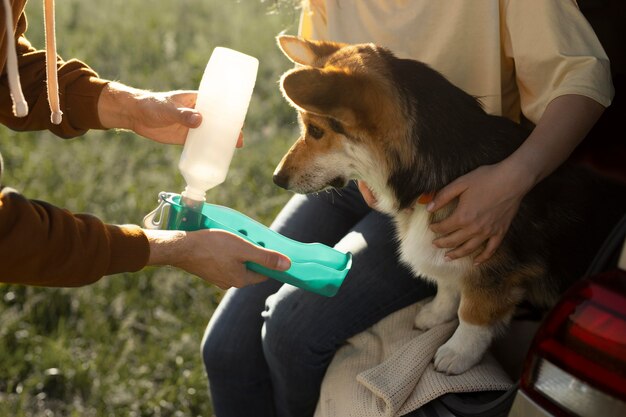 Cerrar propietarios dando agua para perros