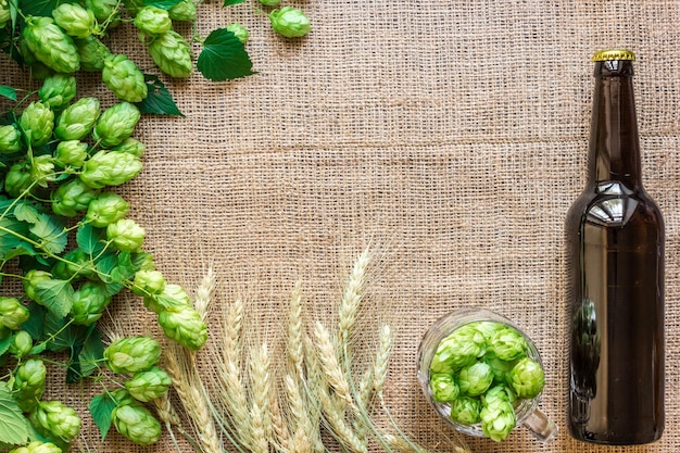 Foto gratuita cerveza de botella y vaso con ingredientes cerveceros. flor de lúpulo con trigo. vista superior.