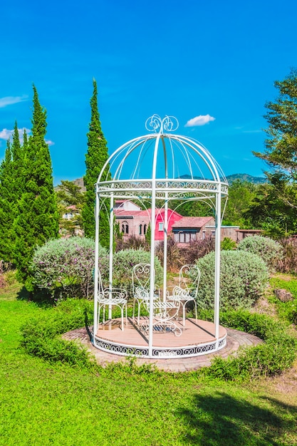 césped árbol de jardín hermoso día