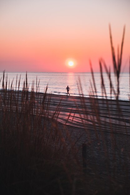 Césped en una playa rodeada por el mar durante una hermosa puesta de sol en Jesolo Italia