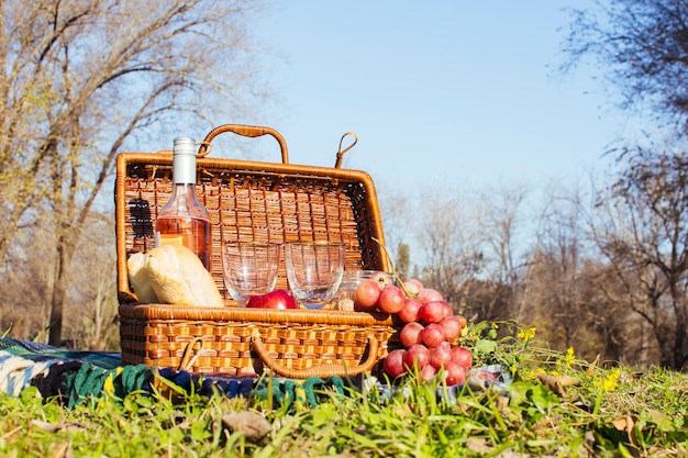 Foto gratuita cesta de picnic con botella de vino y uvas.