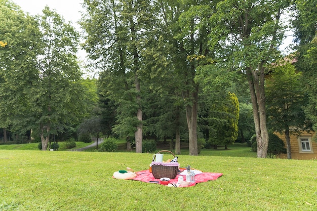 Cesta de picnic en el campo de hierba