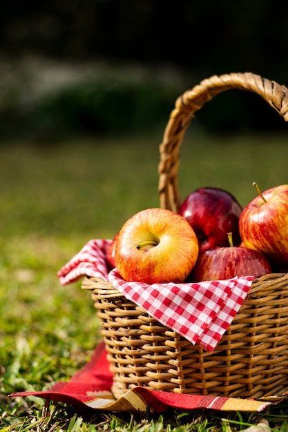 Cesta de picnic llena de manzanas