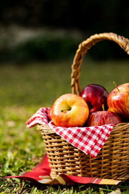 Cesta de picnic llena de manzanas