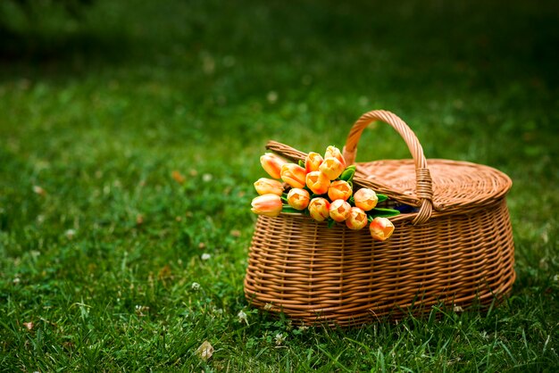 Cesta de picnic con un ramo de tulipanes.