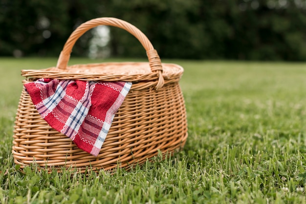 Cesta de picnic sobre césped del parque