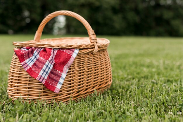 Cesta de picnic sobre césped del parque