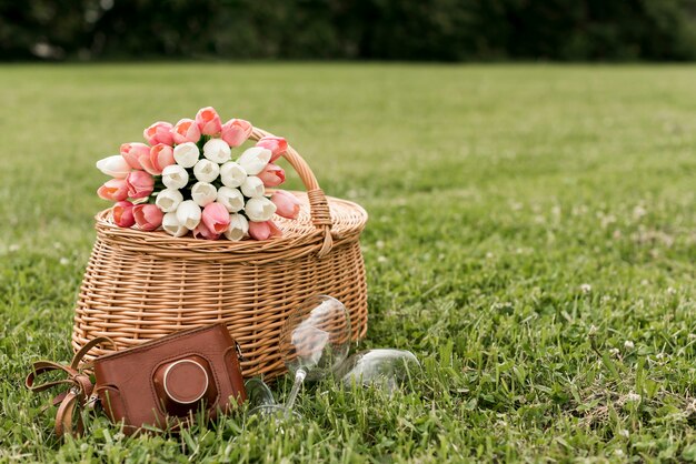 Cesta de picnic sobre césped del parque