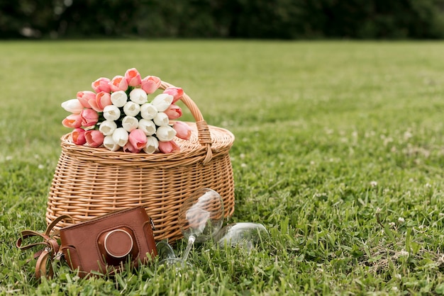 Cesta de picnic sobre césped del parque