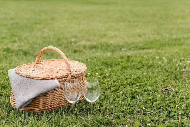 Cesta de picnic sobre césped del parque