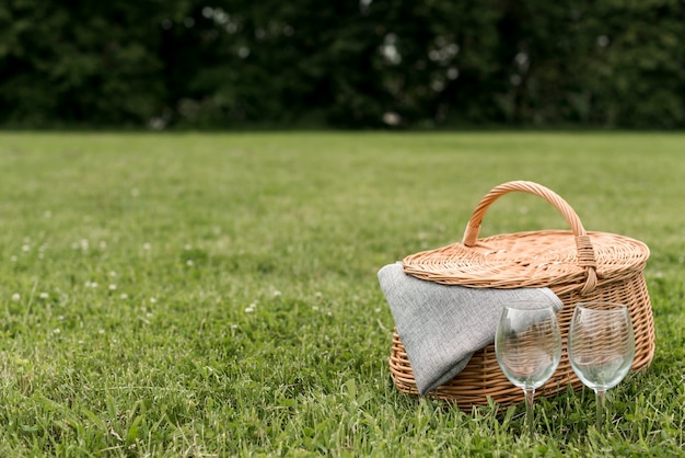 Cesta de picnic sobre césped del parque