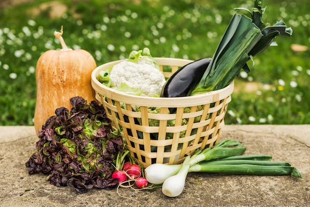 Cesta de verduras maduras sanas en el jardín