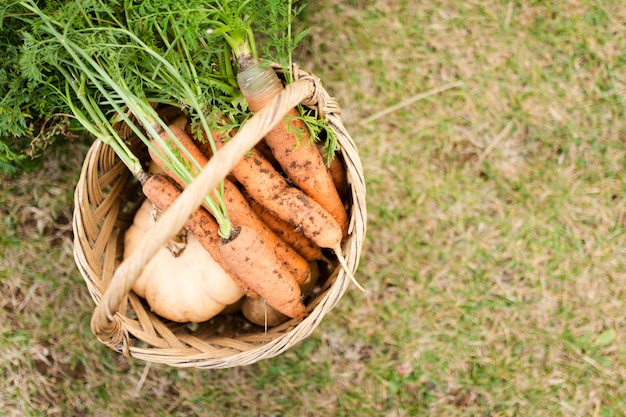 Cesta de la vista superior con deliciosas zanahorias de jardín