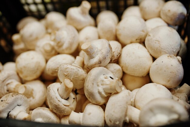 Champiñones champiñones en el estante de un supermercado o tienda de comestibles