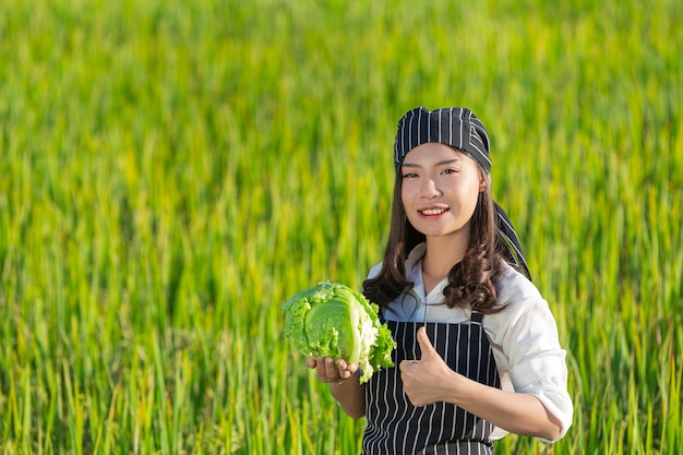 Chef cosechando productos frescos de granja orgánica