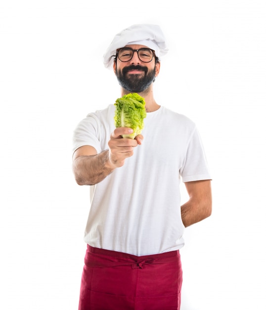 Chef, tenencia, lechuga