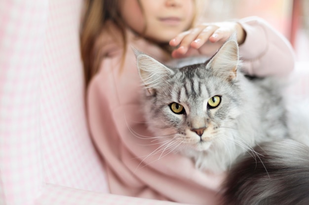 Chica acariciando a su hermoso gato