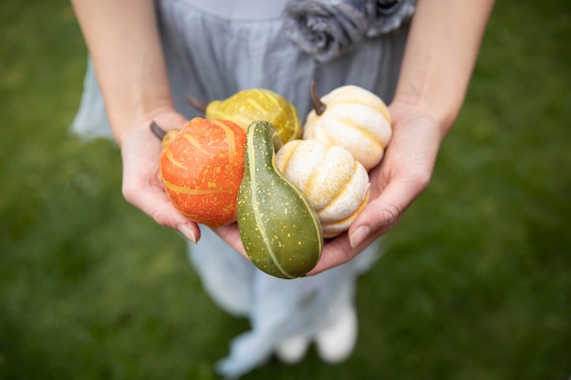 Chica de alto ángulo sosteniendo algunas calabazas