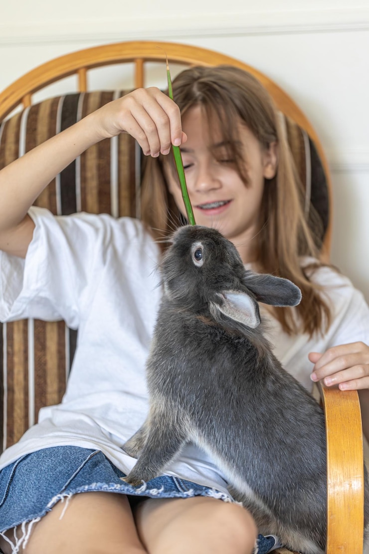 Foto gratuito una chica con un conejo conejo gris en las manos conejo de primer plano
