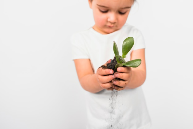 Chica Defocused sosteniendo la planta en su mano aislada sobre fondo blanco