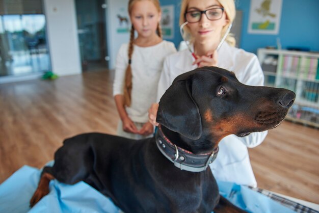 Chica con doberman en un veterinario