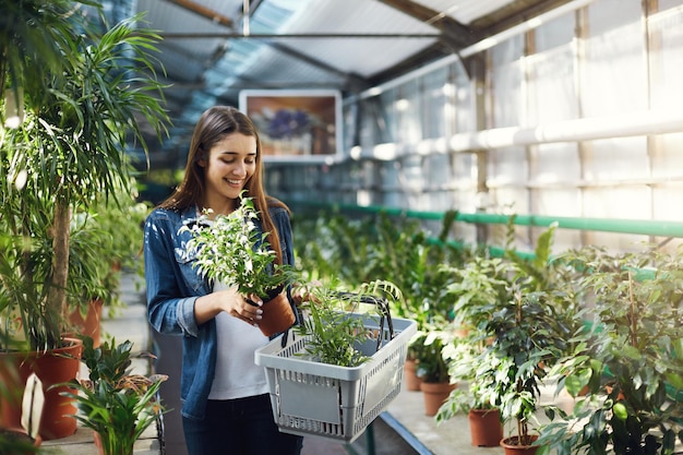 Chica feliz comprando plantas en una tienda de vegetación Planeando rediseñar su patio trasero