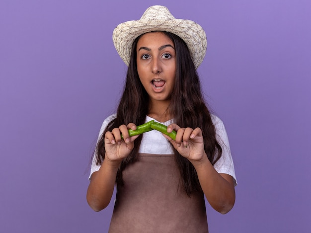 Chica joven jardinero en delantal y sombrero de verano sosteniendo ají verde roto asombrado y sorprendido de pie sobre la pared púrpura