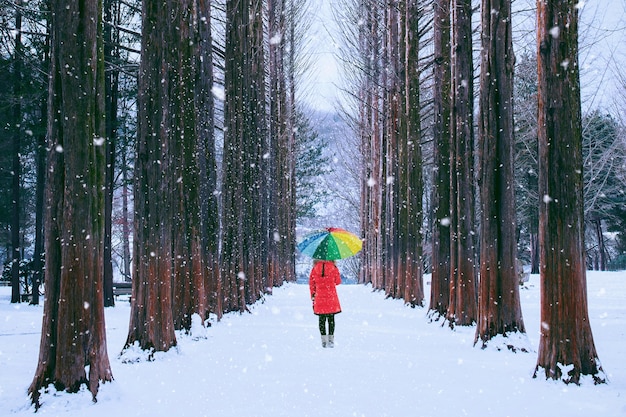 Chica con paraguas de colores en el árbol de la fila, isla Nami en Corea del Sur. Invierno en Corea del Sur.