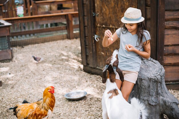 Chica con sombrero alimentando comida a cabra y gallina en el establo