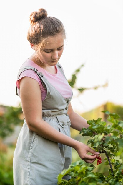 Chica de tiro medio recogiendo frutas