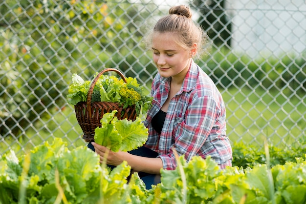 Chica de tiro medio recogiendo lechuga fresca