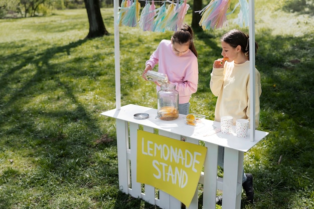 Chicas de alto ángulo haciendo limonada fresca